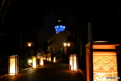 ENOSHIMA LANTERNS 2016　Ⅱ