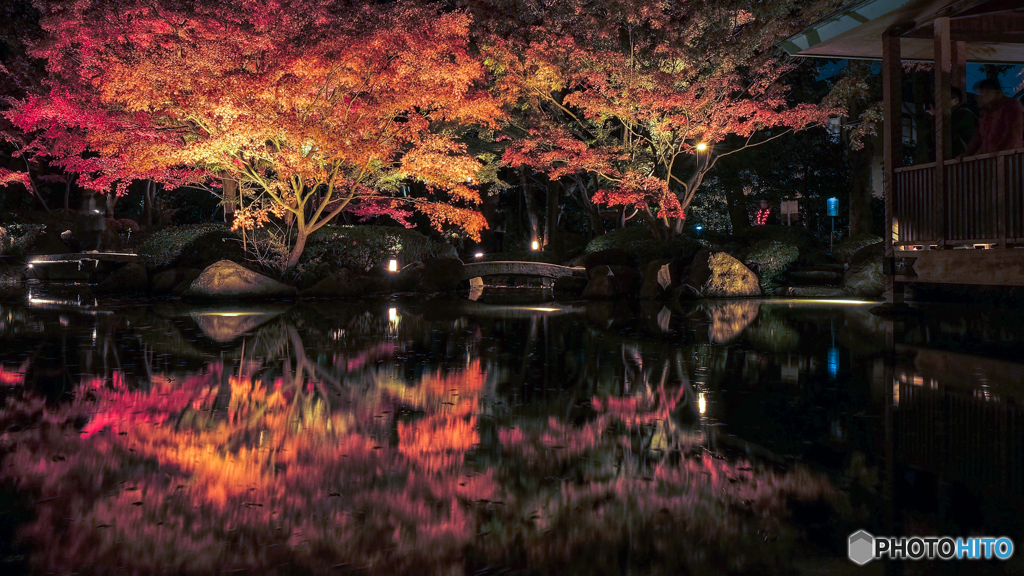 大田黒公園-紅葉ライトアップ2018②