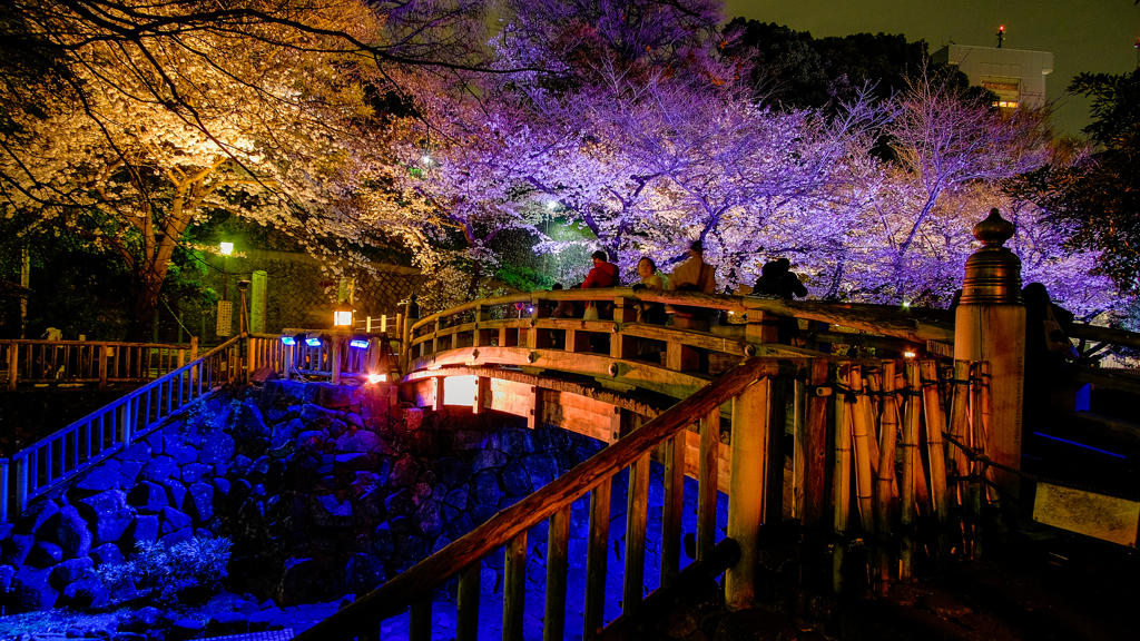 三途の川で花見