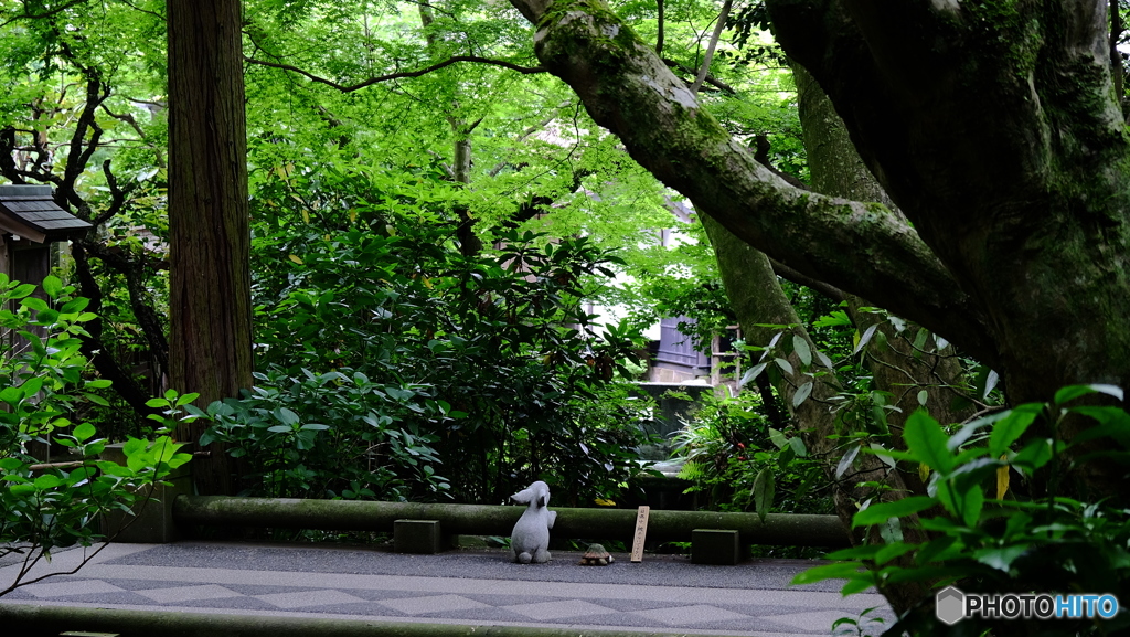 うさぎとカメがお出迎え