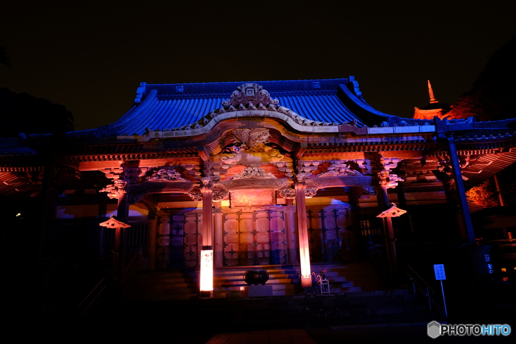 ENOSHIMA LANTERNS 2016　Ⅴ