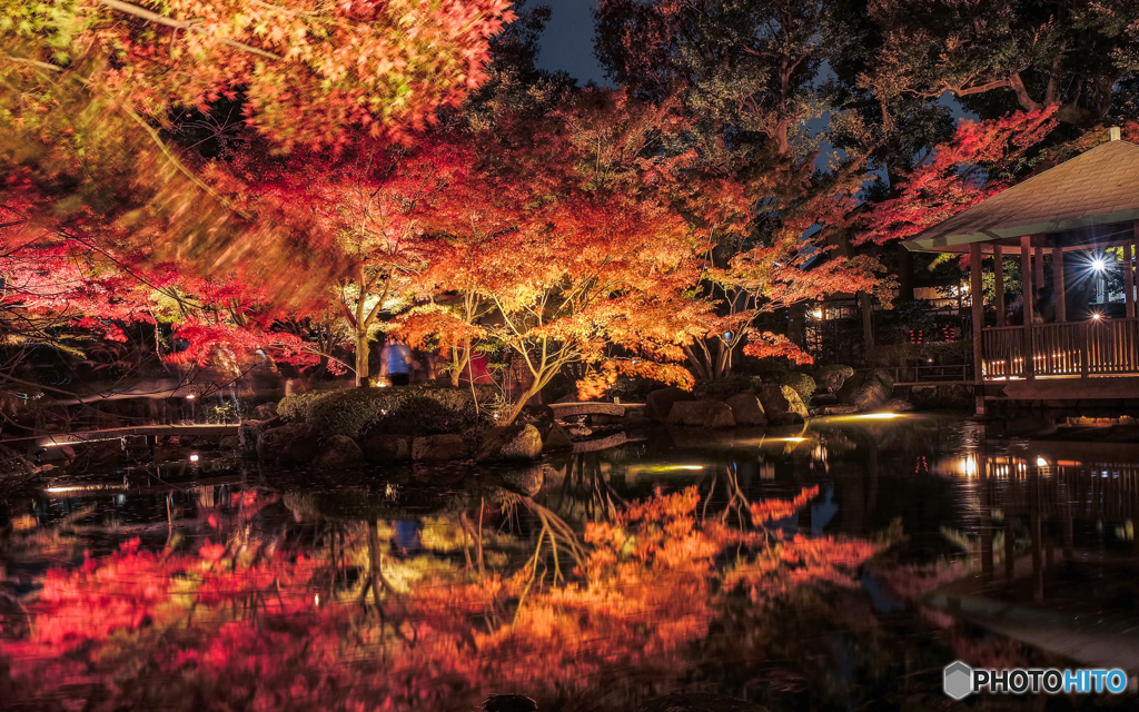 大田黒公園-紅葉ライトアップ2018③