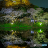 観桜の夕べ５
