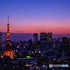 THE  TOKYO  TOWER