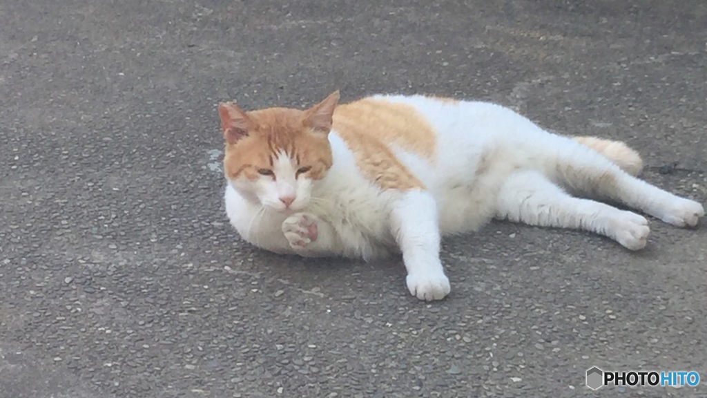 すまん