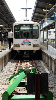 無事カエル