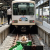 無事カエル