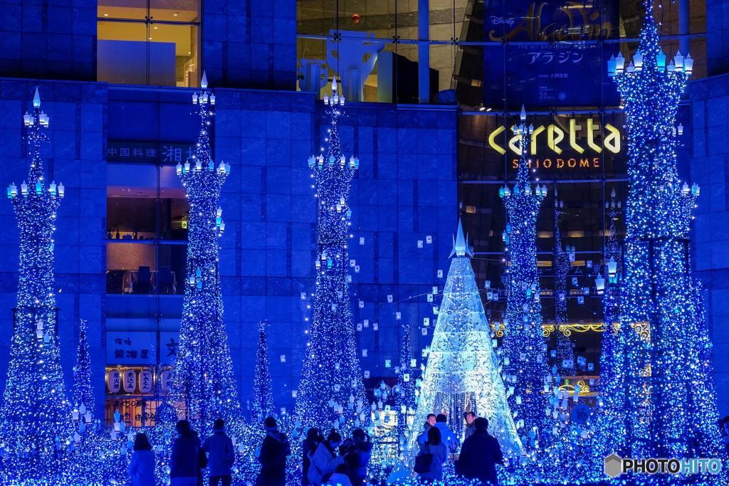 Caretta Illumination 2018-2019