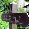 明月院通り