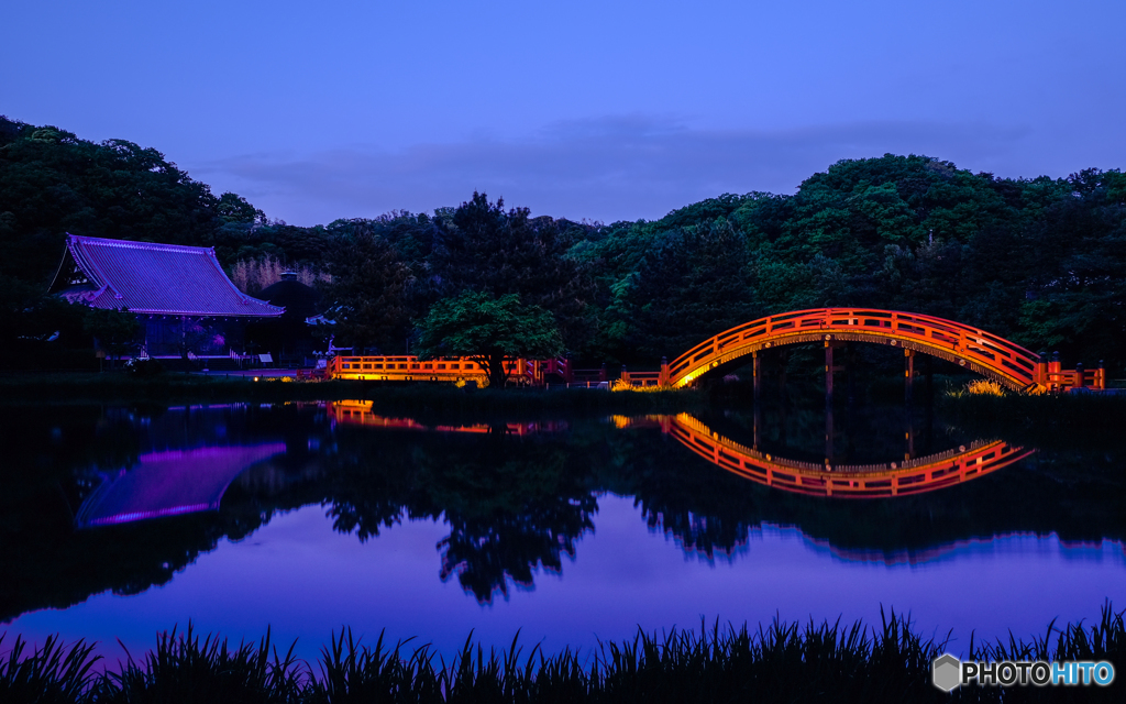 称名寺薪能2019ライトアップ①