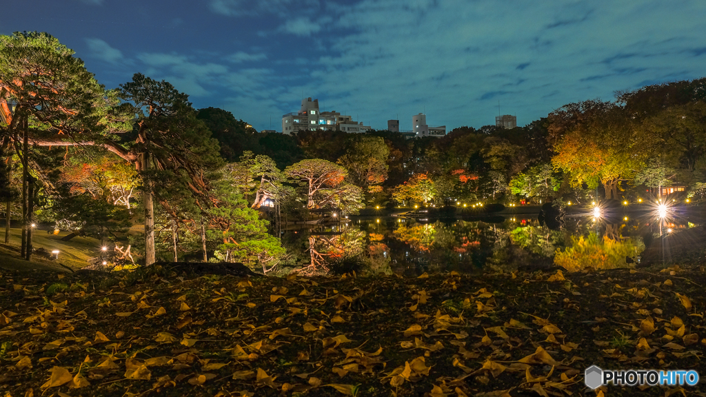 六義園-紅葉と大名庭園ライトアップ2018-5