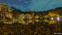 六義園-紅葉と大名庭園ライトアップ2018-5