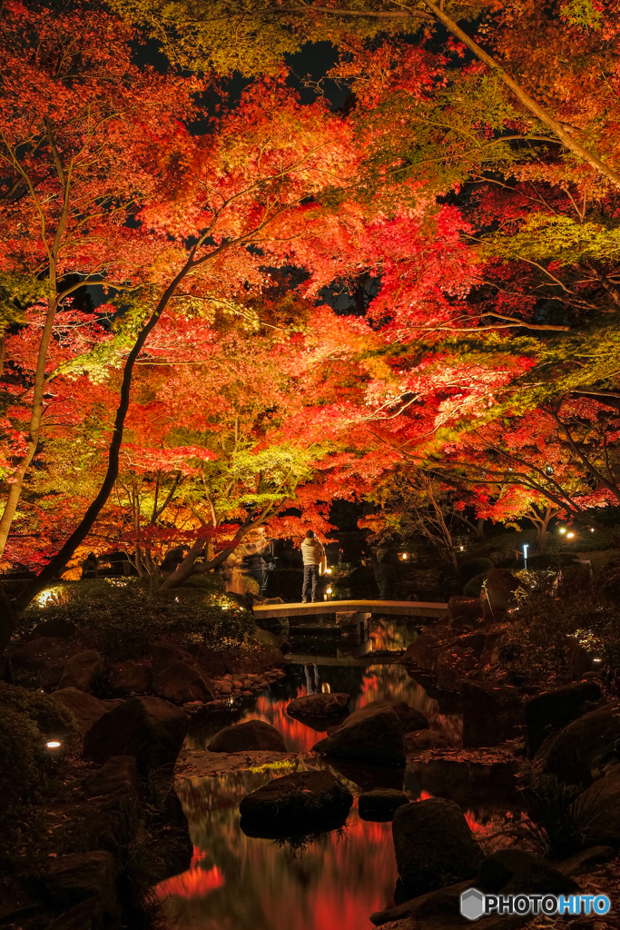 大田黒公園-紅葉ライトアップ2018⑤