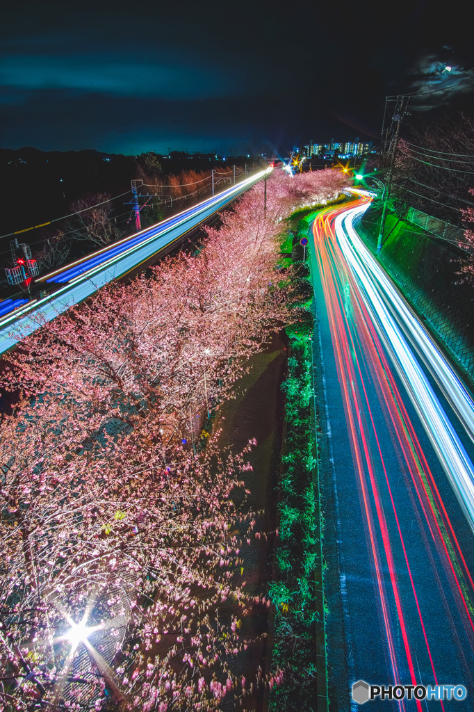 さくらレーザービームまつり