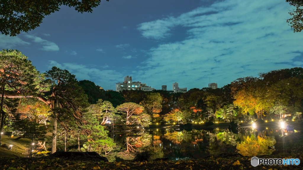 六義園-紅葉と大名庭園ライトアップ2018-3