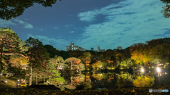 六義園-紅葉と大名庭園ライトアップ2018-3
