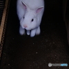 急がなくっちゃ^^