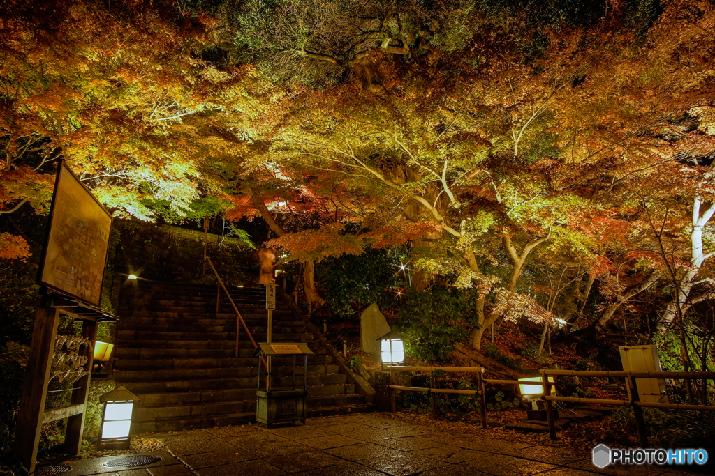 秋の夜間特別拝観2018②
