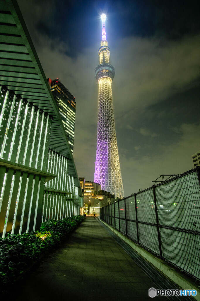 雅