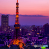 紅に染まるTower