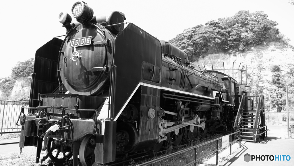 D５１