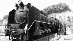 D５１