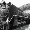 D５１