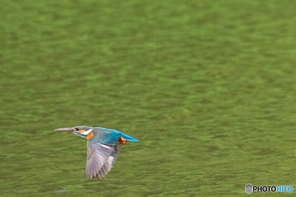 Green　Pond