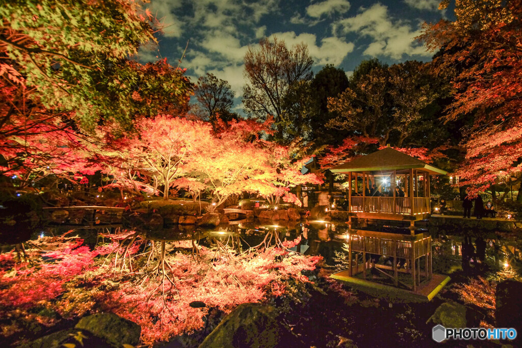 大田黒公園紅葉ライトアップ 2021