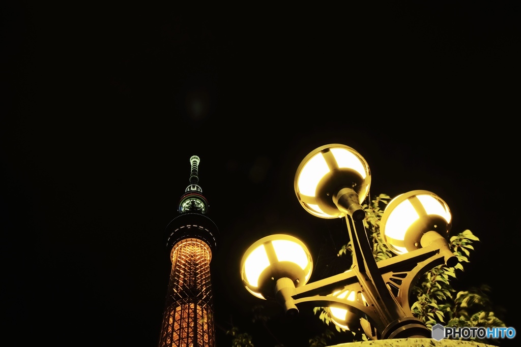 TOKYO SKY TREE　Ⅲ