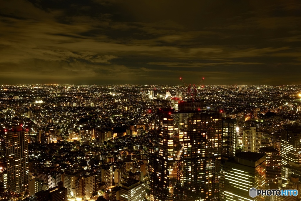 Tokyo Metropolitan Government Building　Ⅲ