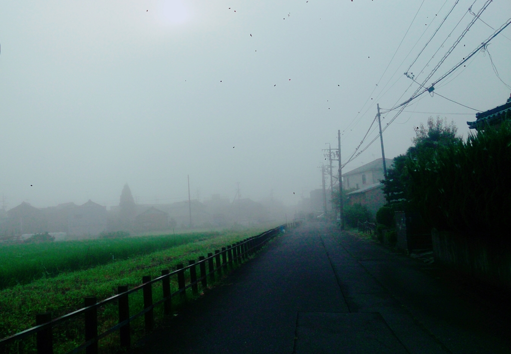 雨が残したもの