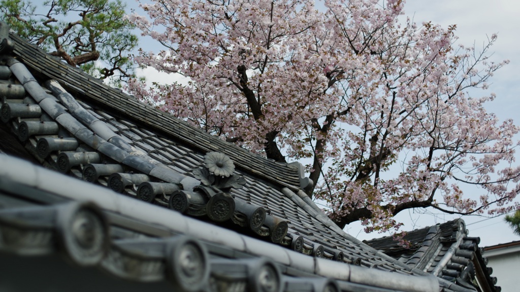 桜花・菊花・瑞松と、三つ巴の軒瓦