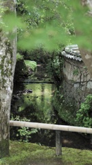 木洩れ日の小川が庭にある暮らし