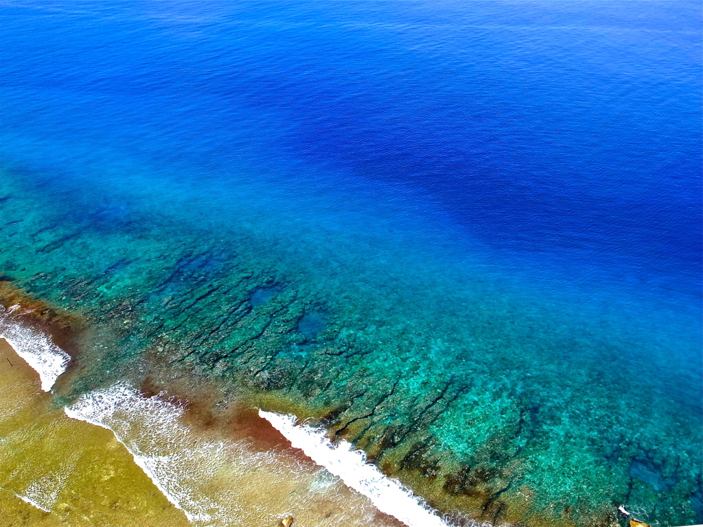 南方の海岸