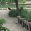 だいたい120度