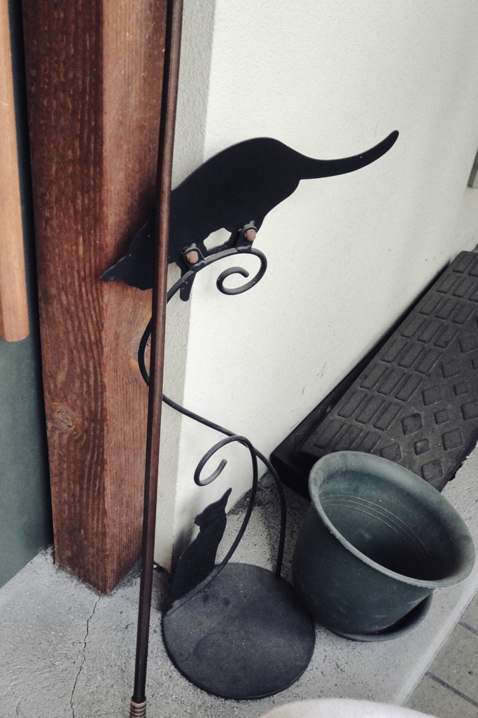 親猫子猫