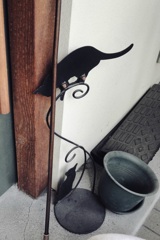 親猫子猫