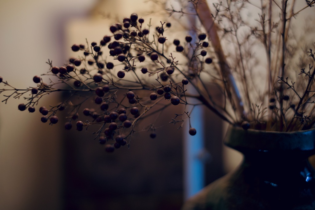 Nandina domestica