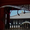でっかい寺