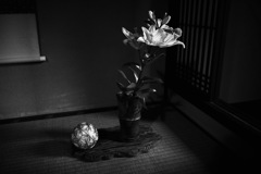 怪奇シリーズ『手毬唄』