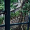 「裏通り」奥方寝室からの眺め