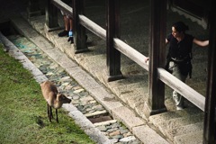 旅の出会い