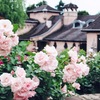 花の城下町