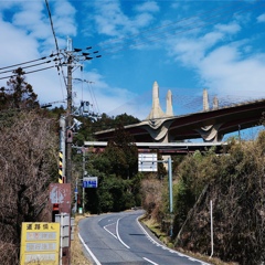 使徒襲来