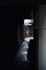 怪奇シリーズ『ウェルカムフラワー』