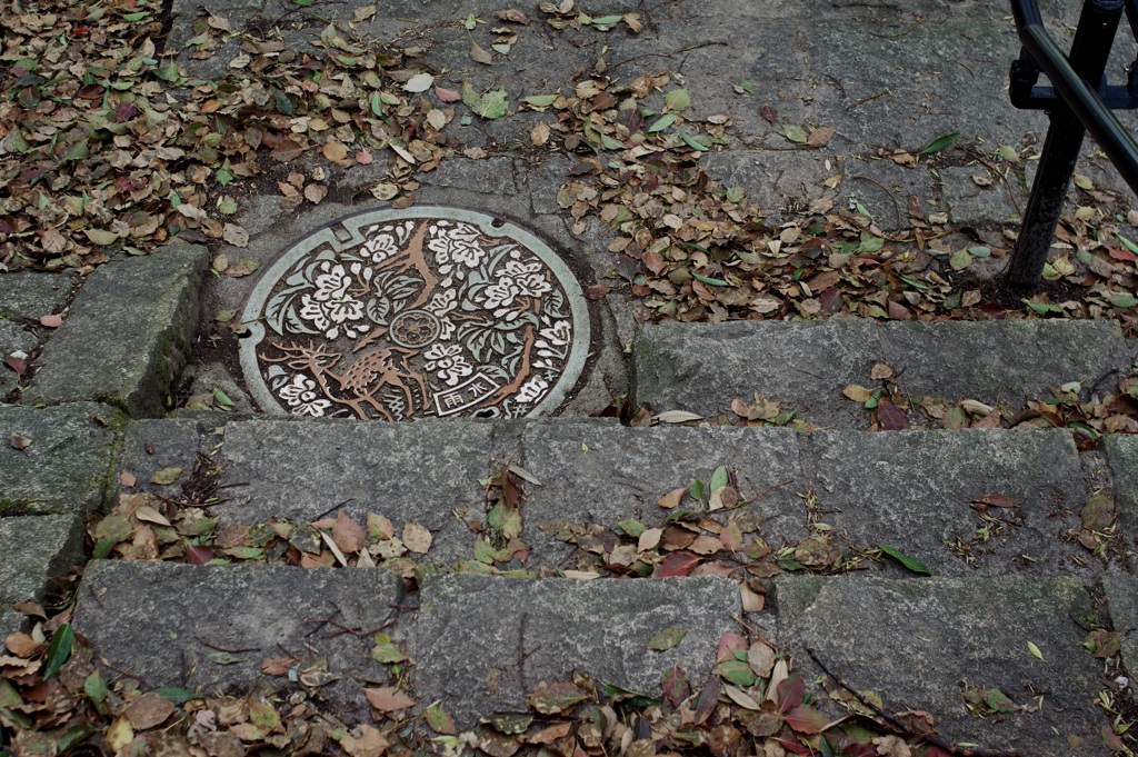 奈良公園のマンホール