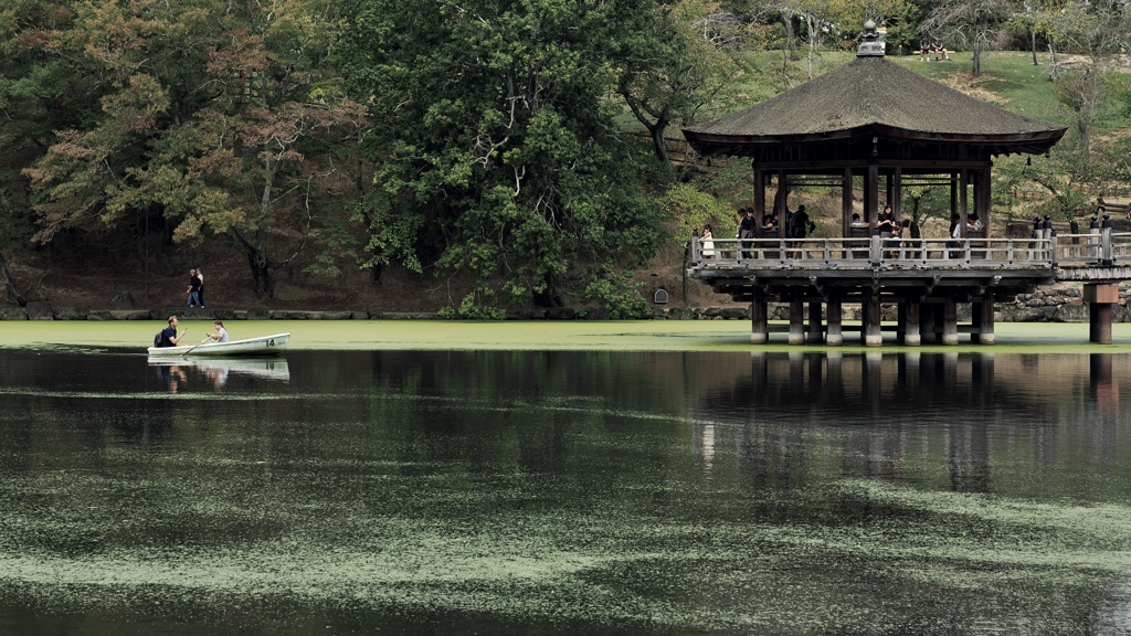 浮き御堂遊園