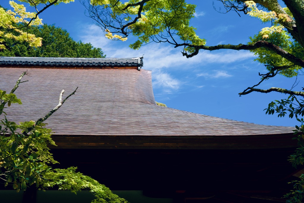 銅葺きの屋根