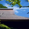 銅葺きの屋根
